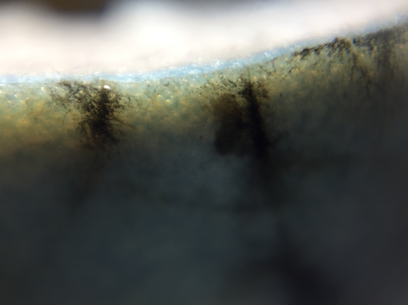 Glaze Crazing Glaze Faults Glazy Ceramics Wiki